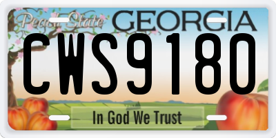GA license plate CWS9180