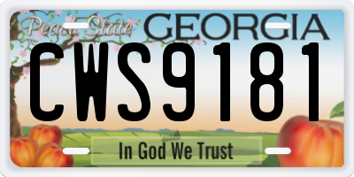 GA license plate CWS9181