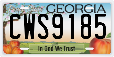 GA license plate CWS9185