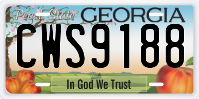 GA license plate CWS9188