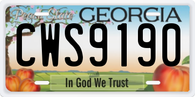 GA license plate CWS9190