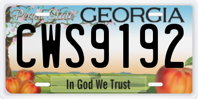 GA license plate CWS9192