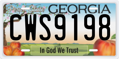 GA license plate CWS9198