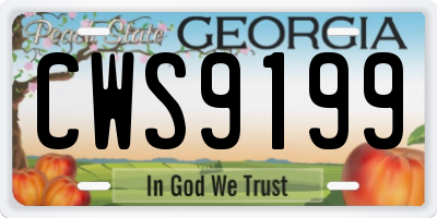 GA license plate CWS9199