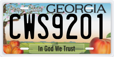 GA license plate CWS9201