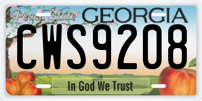 GA license plate CWS9208