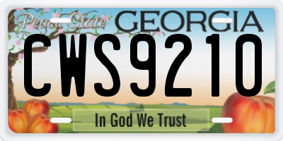 GA license plate CWS9210