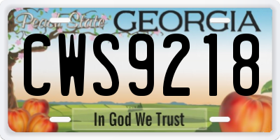 GA license plate CWS9218