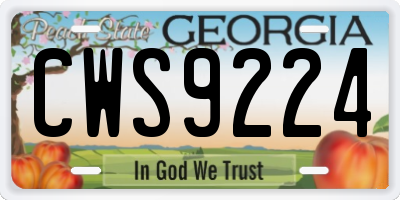 GA license plate CWS9224