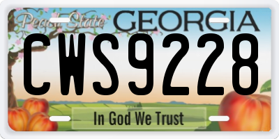 GA license plate CWS9228