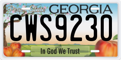 GA license plate CWS9230