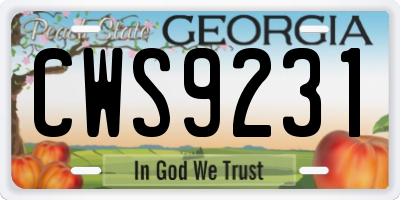 GA license plate CWS9231