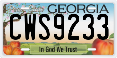 GA license plate CWS9233
