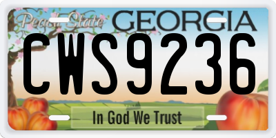 GA license plate CWS9236