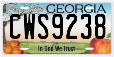 GA license plate CWS9238