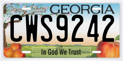 GA license plate CWS9242
