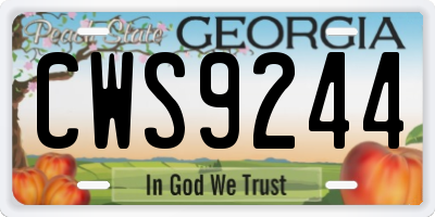 GA license plate CWS9244