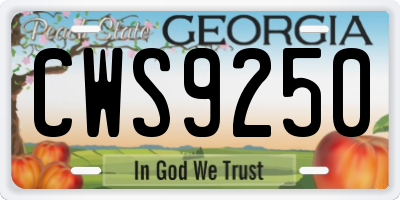 GA license plate CWS9250