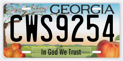 GA license plate CWS9254