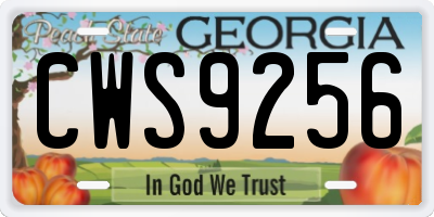 GA license plate CWS9256