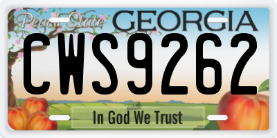 GA license plate CWS9262