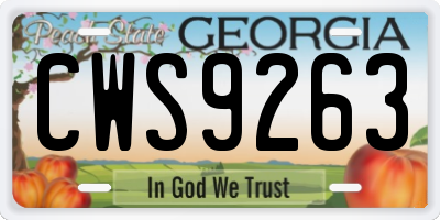 GA license plate CWS9263