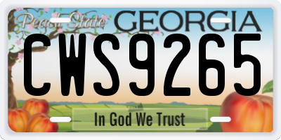 GA license plate CWS9265