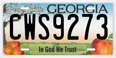 GA license plate CWS9273