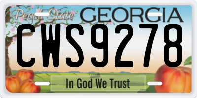 GA license plate CWS9278