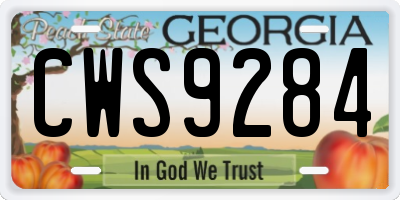 GA license plate CWS9284