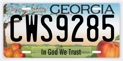 GA license plate CWS9285