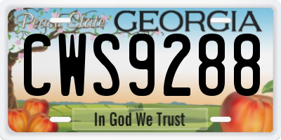 GA license plate CWS9288