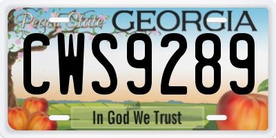 GA license plate CWS9289