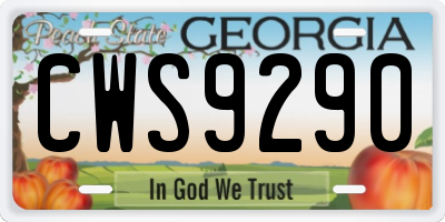 GA license plate CWS9290