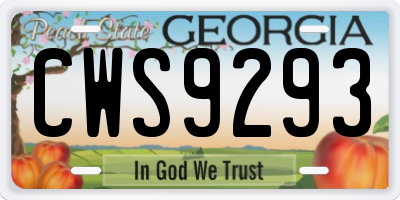 GA license plate CWS9293