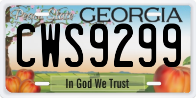 GA license plate CWS9299