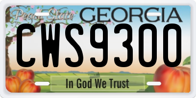 GA license plate CWS9300