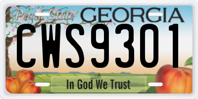 GA license plate CWS9301