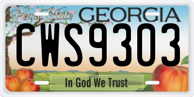 GA license plate CWS9303