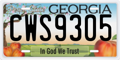 GA license plate CWS9305