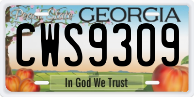 GA license plate CWS9309