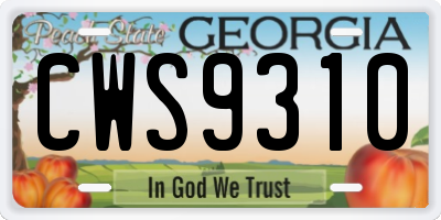 GA license plate CWS9310