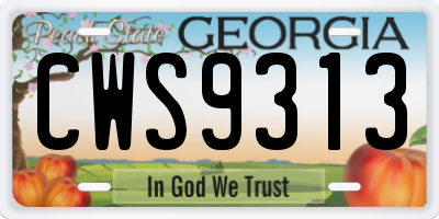 GA license plate CWS9313