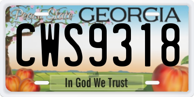 GA license plate CWS9318