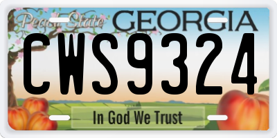 GA license plate CWS9324