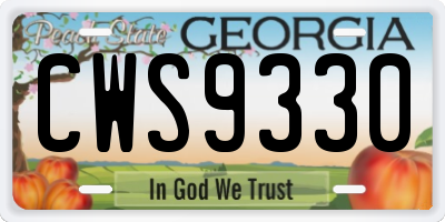 GA license plate CWS9330