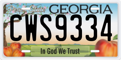 GA license plate CWS9334