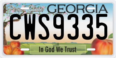 GA license plate CWS9335