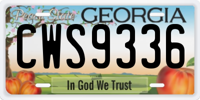 GA license plate CWS9336