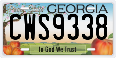 GA license plate CWS9338